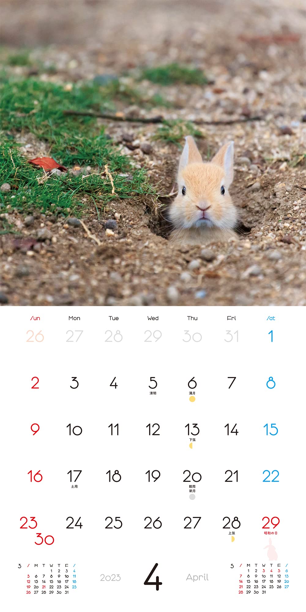 毎年好評 輸入カレンダー 23年 うさぎ かわいい たれ耳 ウサギ エーボンサイド カレンダー スクエアタイプ ペットカレンダー ロップイヤー 中綴じ 令和5年 兎 動物 干支 暦 月めくり 輸入 １着でも送料無料 ウサギ