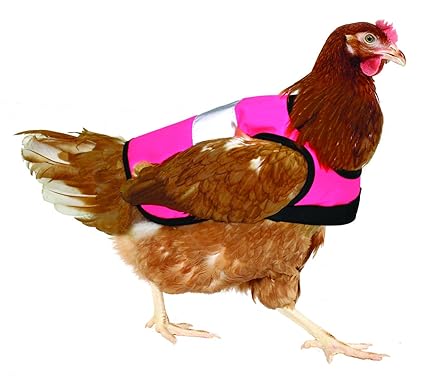 Omlet Warnweste für Hühner - Pink