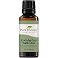 Plant Therapy Eucalyptus Globulus Essential Oil 30 mL (1 oz) for Diffuser, Skin, Hair, Aromatherapy DIYs, and Clear Breathing, 100% Pure, Undiluted, Therapeutic Grade