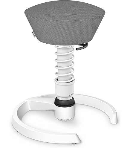 Amazon.com: aeris Swopper New Edition Ergonomic Stool with castors