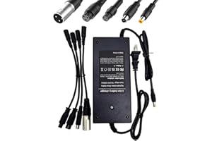 YAREMYEYE 42V 2A (5 Plugs) Charger for Jetson Voyage Razor Swagtron Bird Gotrax Ninebot Segway Hiboy 36V 10S Lithium-ion Battery Converter Interfaces 3 Prong (8mm/12mm) DC (5.5 * 2.5/2.1mm) 8mm RCA/3-Pin XLR