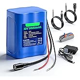 CITYORK 12V 5600mAh Rechargeable Battery Lithium with Charger, Bare Leads Wire Battery Pack Compatible with 12V Devices, DIY Project, Speakers, RC Car, Robot Toys, LED Light Strip, CCTV Camera etc