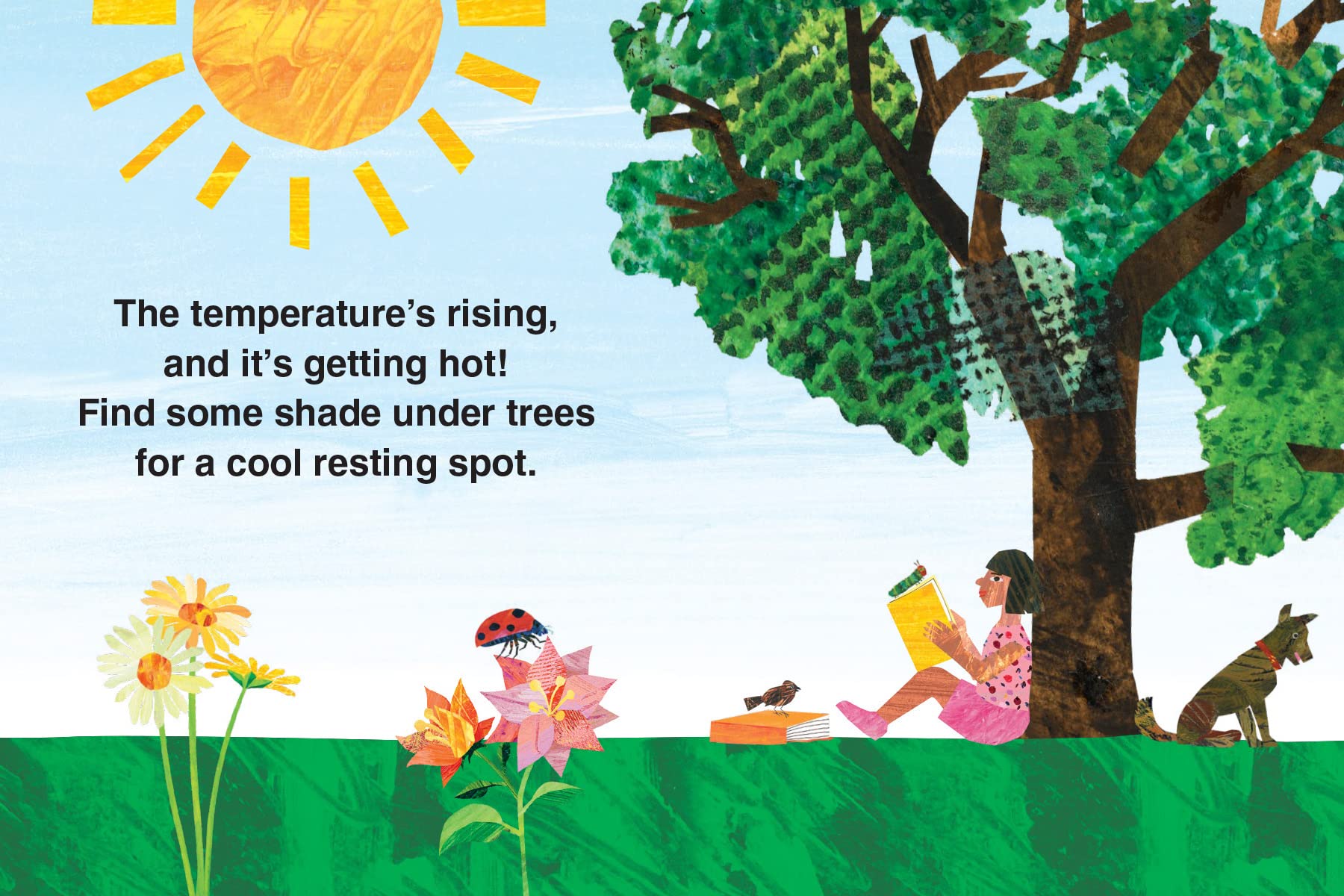 The Very Hungry Caterpillar's First Summer (The World of Eric Carle)