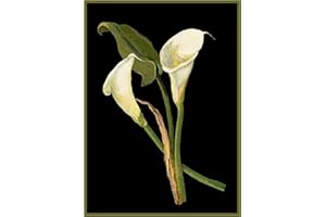 Orenco Originals Calla Lily Flowers by Mary Delany Counted Cross Stitch Pattern