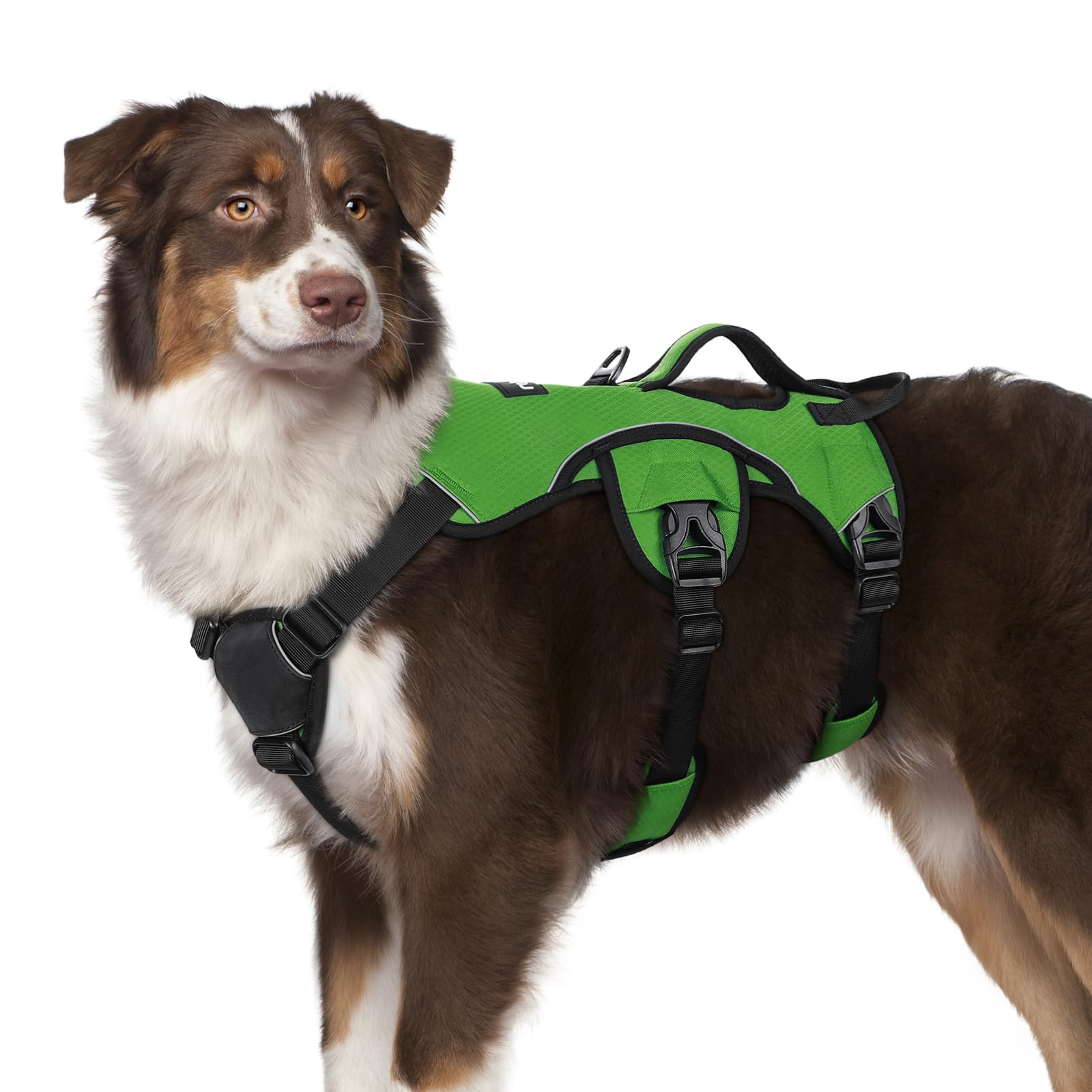 rabbitgoo Escape-Proof Dog Harness Medium with Large Handle, Anti-Pull Reflective Working Service Pets Vest, Breathable Pets Vest 3 Points, Adjustable Lift Support Body Harness Outdoor, M, Green