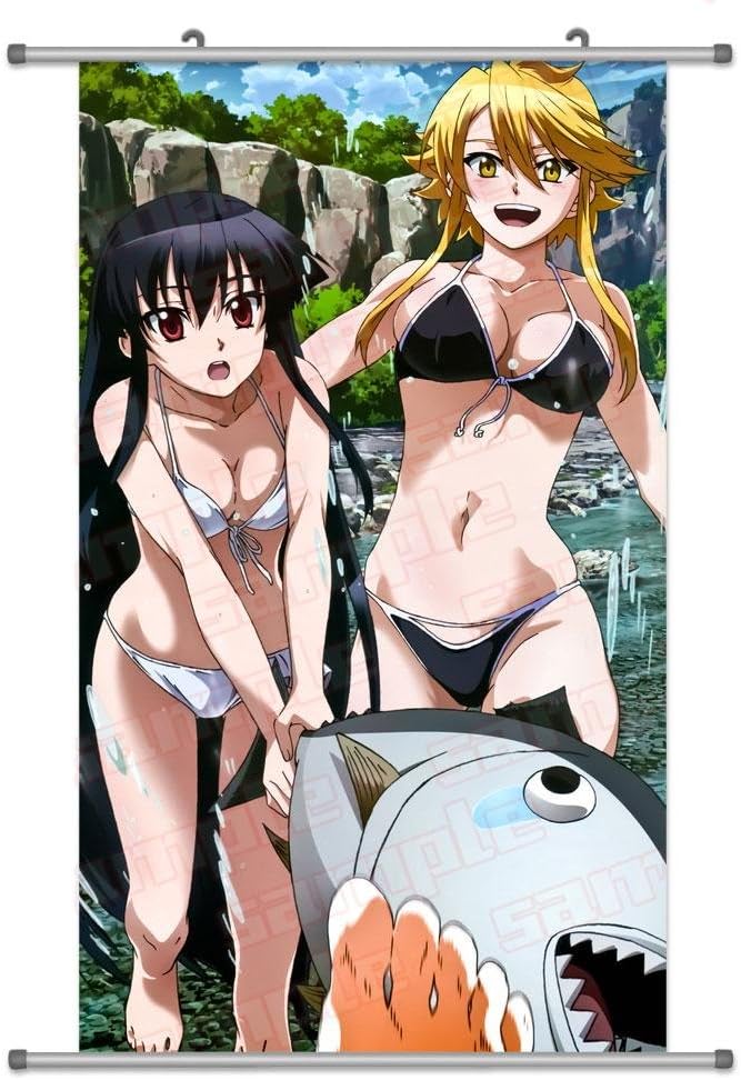 A Wide Variety of Akame Ga Kill! Anime Characters Wall Scroll Hanging Decor (Group 1)