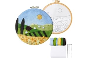 Wonafa DIY Wool Needle Felt Starter Kit, Beginner Needle Felt Kit with Wool Felt Bag, Felt Needles, Photo Frame, Foam Mat, Felt Cloth and Instructions for Home Decor, Art Crafts (K3)