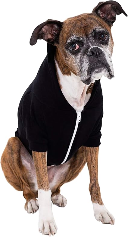 american apparel dog hoodie