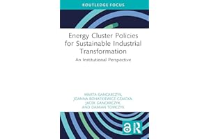 Energy Cluster Policies for Sustainable Industrial Transformation: An Institutional Perspective (Routledge Open Business and 