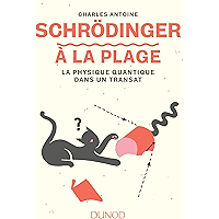 Schrödinger à la plage: La physique quantique dans un transat (A la plage) (French Edition) book cover