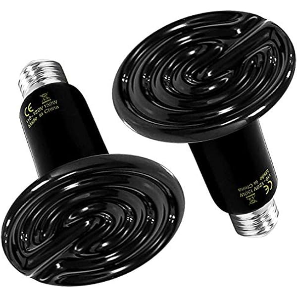 double heat lamp reptile