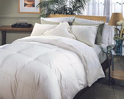 Amazon Com Blue Ridge Home Fashion Hotel Grand Naples 700 Thread