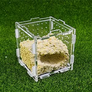 MZP Caja De Granja De Hormigas Hormiguero Acrílico Yeso Taller De