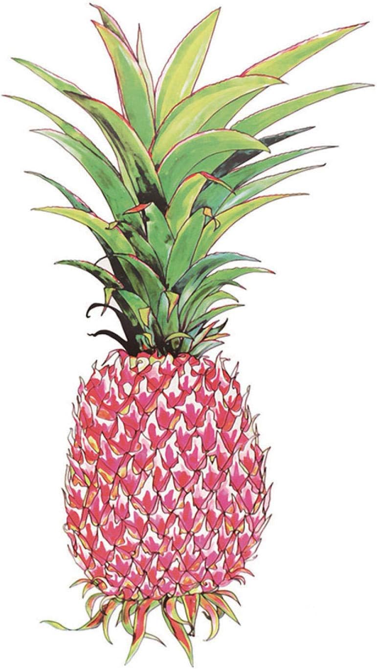 ZCGY Acuarela Pinturas Artísticas Piña Arte De La Pared Impresiones De