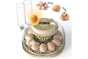 KINDAUS Egg Incubators for Hatching Eggs, Egg Incubator with Automatic Egg Turning and Humidity Control, Quail Eggs Chicken Egg Incubator (12 Eggs)