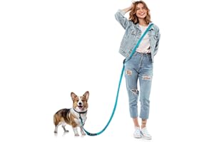 Heelay Hands Free Dog Leash, 8.2ft Multifunctional Crossbody Rope with Explosion-Proof Handle and Adjustable Training Hands Free Leash for Medium,Large Dogs Walking,Blue
