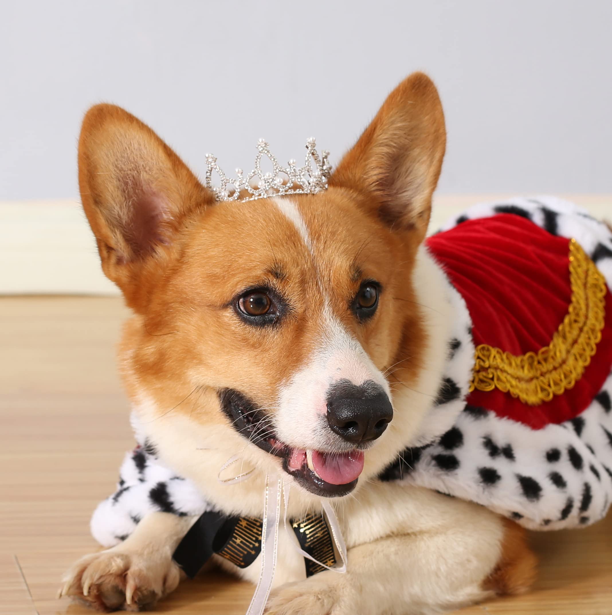 Lovelyshop Pet series Silver Plated Royal Rhinestone Pearl Full Round Dog/Cat Crown for Costume Hair Accessories-Medium Size