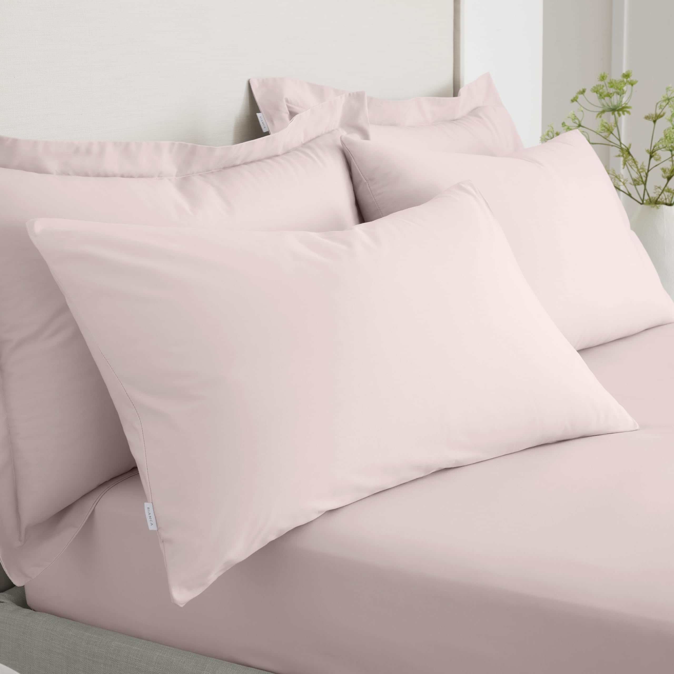Bianca 200 Thread Count Cotton Percale Standard Pillowcase Pair Blush