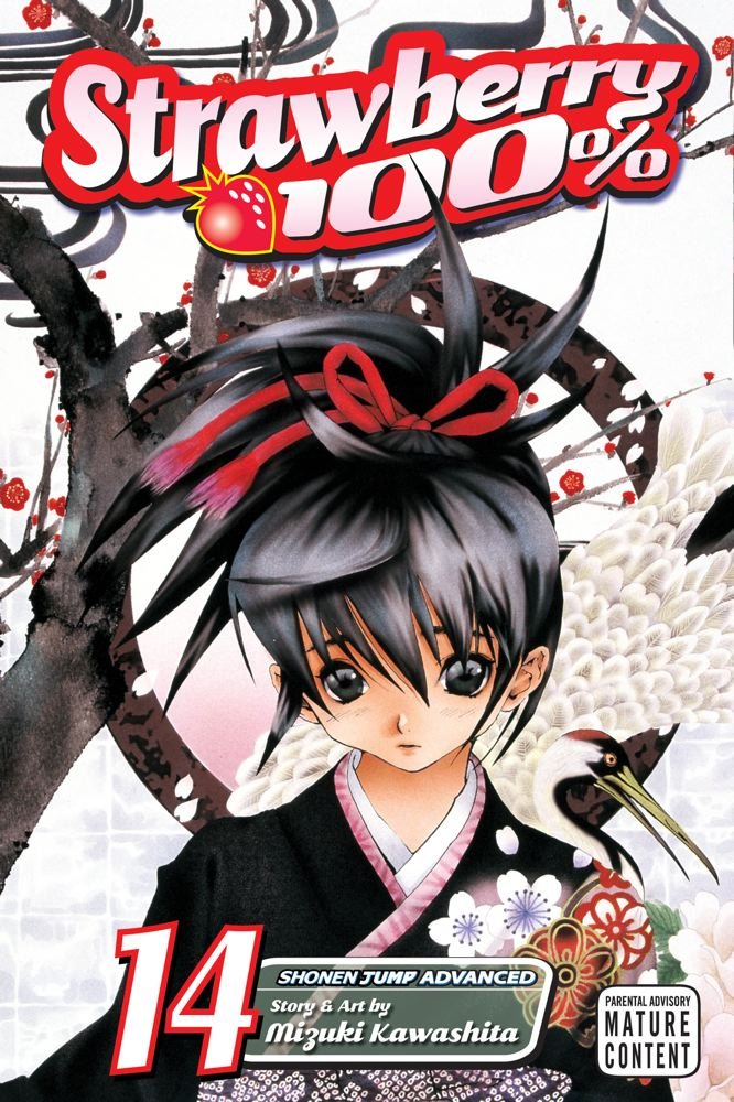 公式ショップ Strawberry 14 100 その他 Www Theashleycentre Co Uk