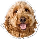 Magnet America Goldendoodle Dog Magnet is 4.8" x 4.9" Made for Vehicles and Refrigerators