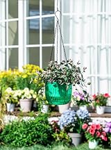 Josteve 6.5 Inch Self Watering Hanging Planter with Visible Water Level view 2