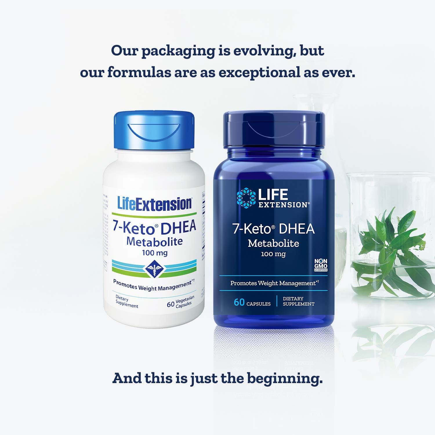 Life Extension 7-Keto dhea Metabolite, 60 Vegetarian Capsules: Health & Personal Care