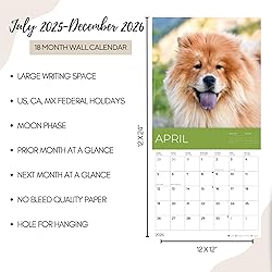July 2025- December 2026 Wall Calendar 18 Month