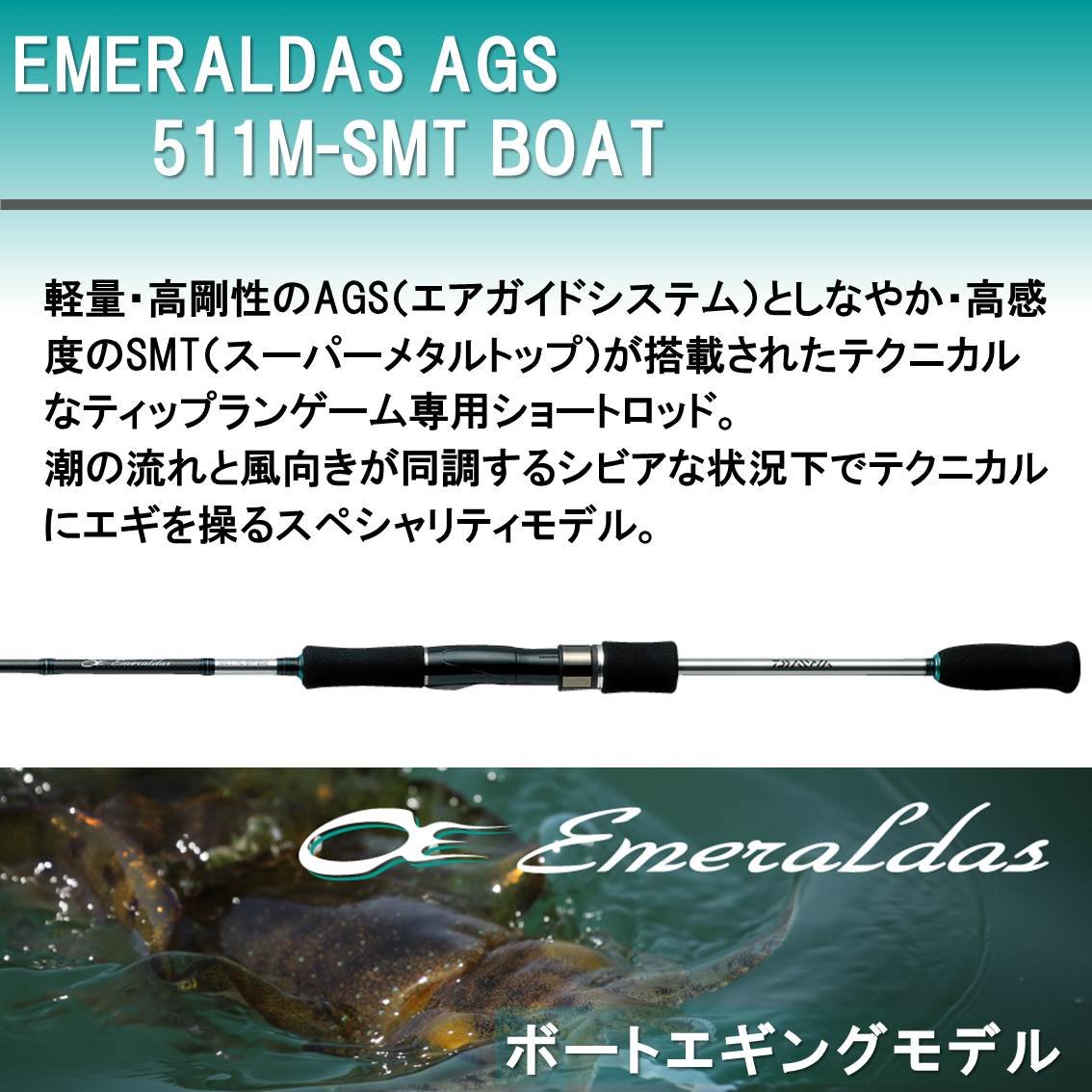 100 本物保証 ダイワ Daiwa ティップランロッド スピニング エメラルダス Ags アウトガイドモデル 511m Smt ティップランショートスペシャル ティップラン 釣り竿 B00dp7l1yy 手数料安い Ijsl Pubmedia Id