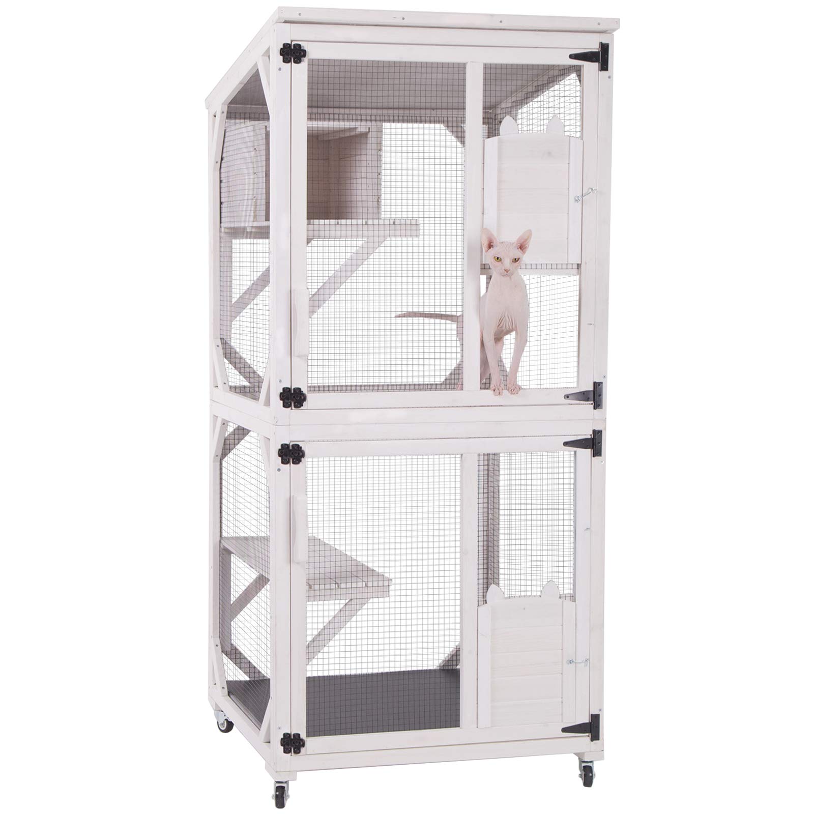 large kitten playpen