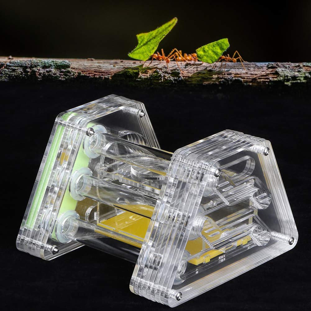 Ant Nest Farm Acrylic Transparent Ant Feeding Living Nest Farm Insect Moisturizing Case Housing Home Ant Habitat Ant Farm Castle with Tweezers and Dropper