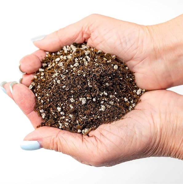 GARDENERA ORGANIC PREMIUM POTTING ALL PURPOSE SOIL – SEED STARTER SOIL FOR LEAFY GREENS, TOMATOES AND OTHER SEEDLINGS, SEEDS AND STARTS – (2 QUART BAG)