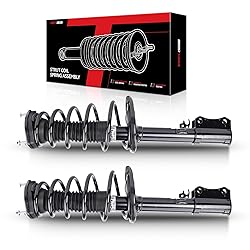 Torchbeam Rear Struts Assembly w/Coil Spring Shocks