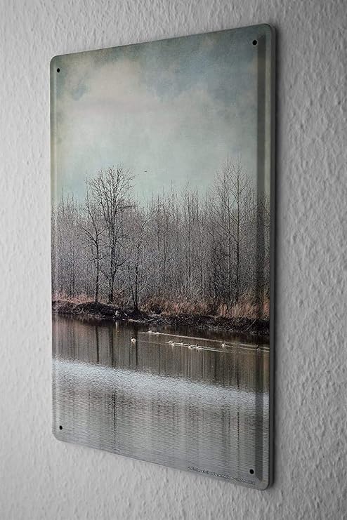 Amazon Co Jp 白い桜雑貨屋 ブリキ 看板 レトロ 看板 販売 レトロな冬の湖 x30cm おしゃれ 雑貨 通販 アメリカン ブリキ墙壁 壁挂装饰バー 寝室 ダイニングルーム ホーム キッチン Amazon Co Jp 白い桜雑貨屋 ブリキ 看板 レトロ 看板 販売 レトロな冬の湖 x30cm おしゃれ 雑貨 通販 アメリカン ブリキ墙壁 壁挂装饰バー 寝室 ダイニングルーム ホーム キッチン