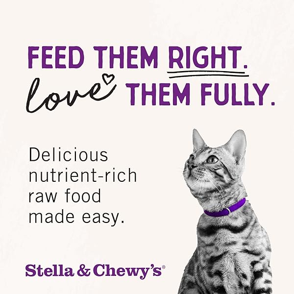 STELLA & CHEWY’S FREEZE-DRIED RAW CAT DINNER MORSELS – PREMIUM BEEF RECIPE WITH 98% GRASS-FED MEAT & ORGANS – NATURAL GRAIN-FREE CAT & KITTEN FOOD – MADE IN USA – 3.5 OZ
