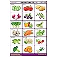 Spectrum Vegetables-2 Pre-Primary Kids Learning Laminated Educational Wall Chart