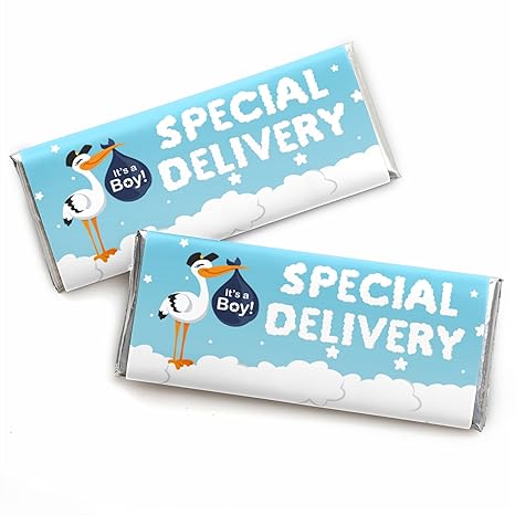 stork baby shower decorations