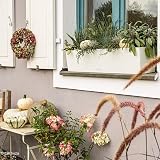 Lechuza Balconera Color 80 Light Gray Planter with Irrigation System view 7