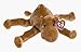 Ty Beanie Buddies Humphrey - Camel