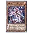 Yu-Gi-Oh! Spright Carrot - POTE-EN007 - Common - 1st Edition