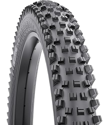 Amazon.com : WTB Ranger Mountain Bike Tire (27.5
