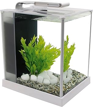 Fluval Spec Iii Betta Fish Tank Kit
