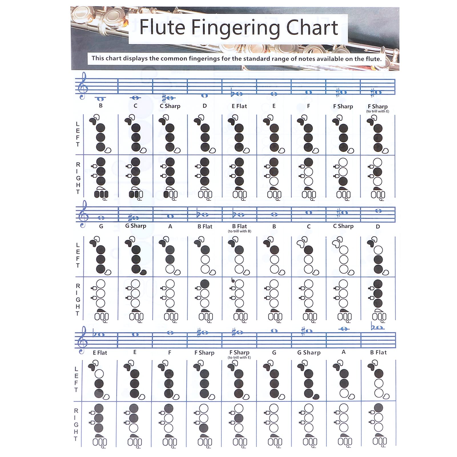 needlid Flute Chord Chart, Flute Fingering Practice Chart Standard White Easy-to-understand for Practice Teaching Aids Instrument for Flute Students(Flute Fingering Table Small (28 x 21cm))