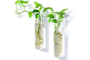 Kingbuy Wall-Mounted Plant Terrarium Propagation Station - 2 Cylinder Hanging Glass Tubes Planter for Hydroponic Plants, Indoor Wall Vases & Decorative Plant Holder Bathroom Office Living Room Decor