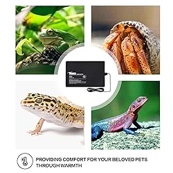 iPower 8 by 12-Inch 16 Watt Reptile Heat Pad Under