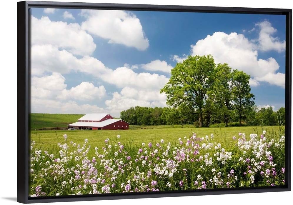 Flowers and Farm, Holmes County, Ohio Black Floating Frame Canvas Art, 32"x22"x1.75"