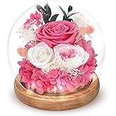 Preserved Flowers Roses in Glass Dome, Forever Flowers for Delivery Prime, Eternal Rose Long Lasting Flowers Gifts for Women Mom Wife Grandma Friends (Pink)