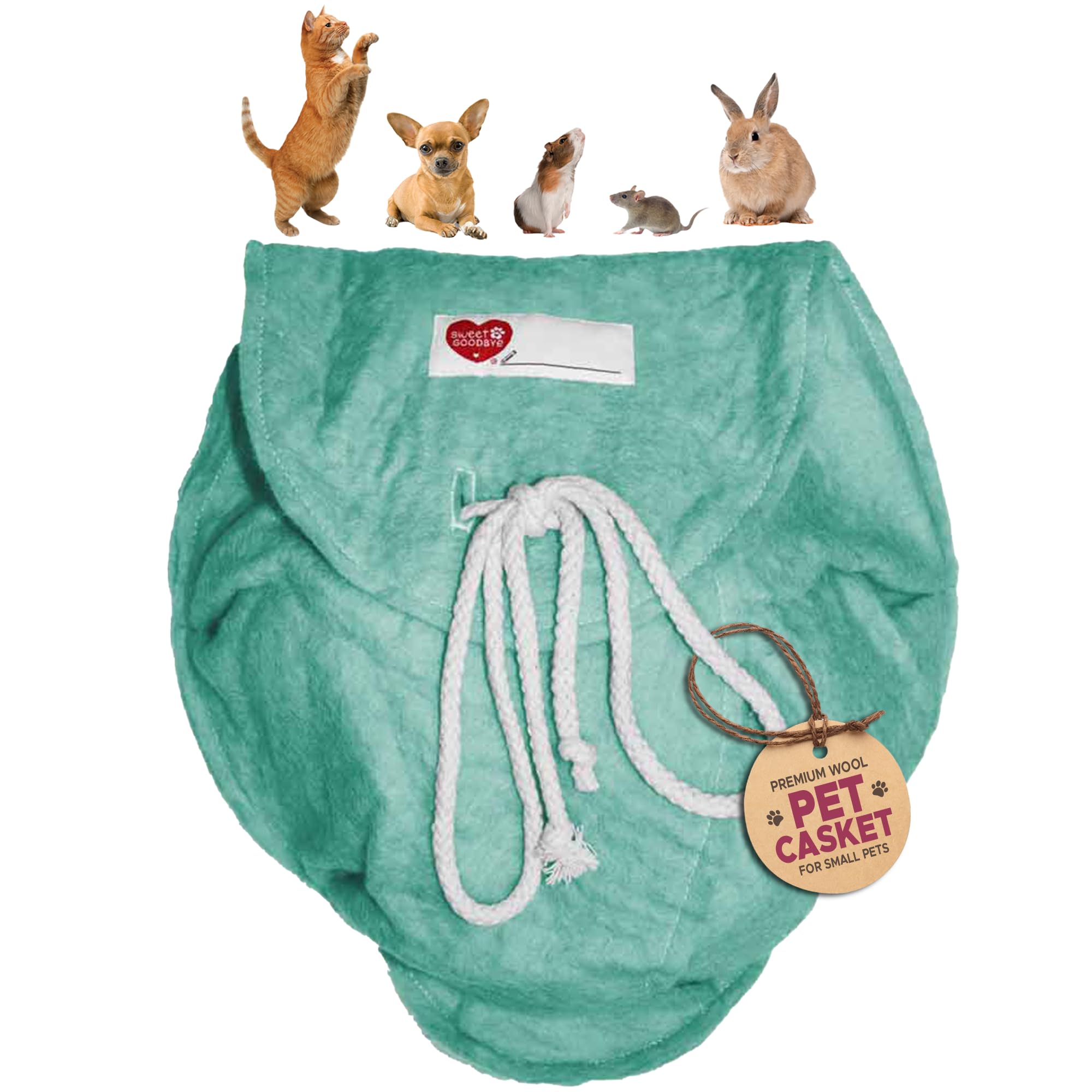 Sweet Goodbye Cloud® - Eco-Friendly Pet Burial & Cremation Ceremony Kit - Casket for Smaller Pets: Rabbits Hamsters Gerbils Birds Reptiles, Small Cats (Choose Size & Color)(Medium, Aqua)