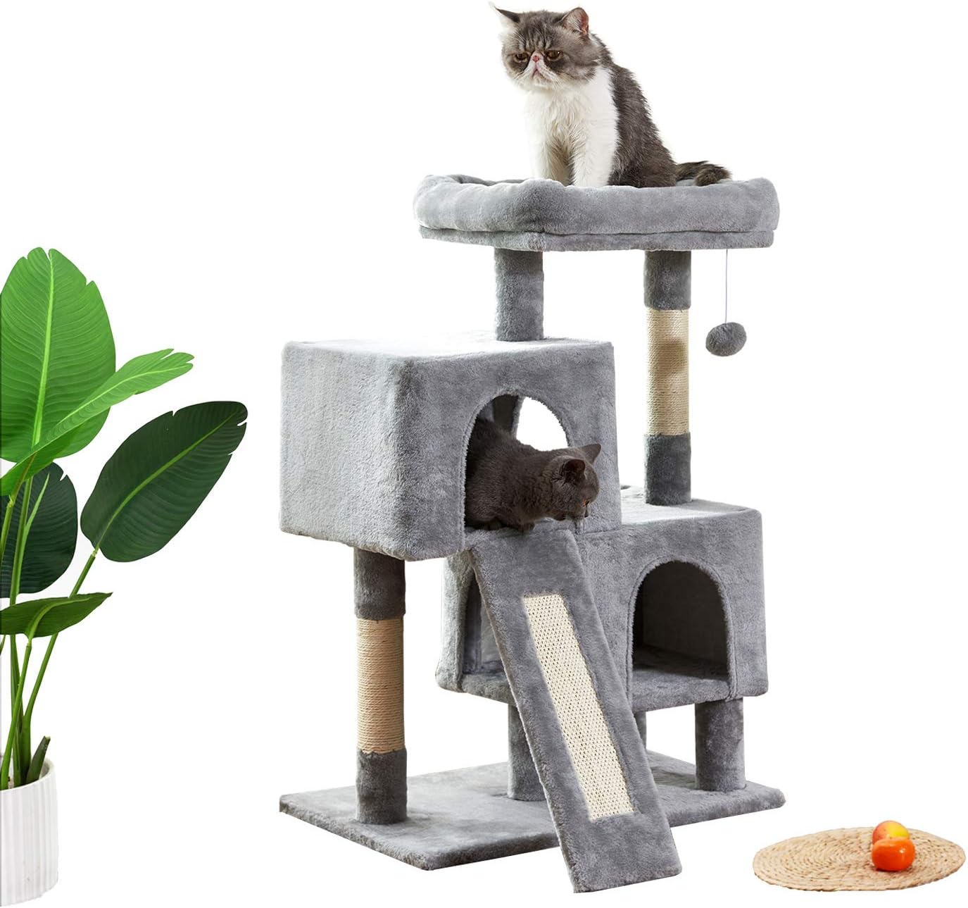 cat tree apartment
