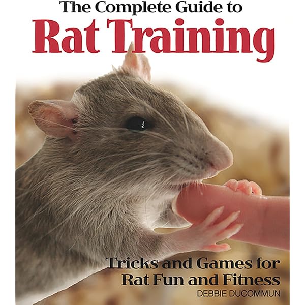 Rats: Practical Advice from the Expert (CompanionHouse Books