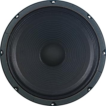 10 inch 4 ohm guitar speaker